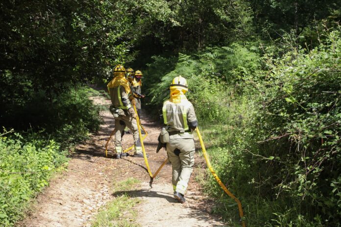 Bombeiros traballan na extinción dun lume