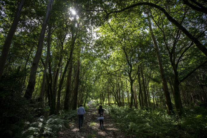 escola de capacitacion agraria de Sergude
