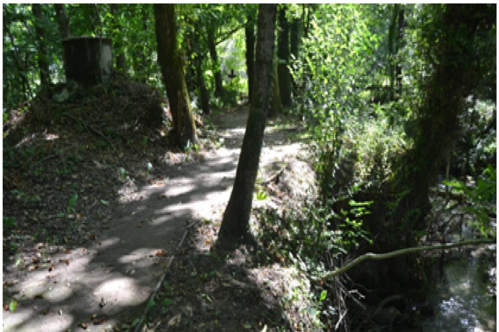 Arqueta del Sendero do Río Aboal, junto al camino, con salida al regato cercano (16/09/2026).