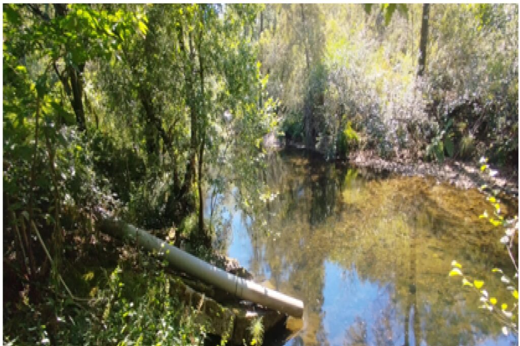 El regato del Sendero do Río Aboal, aguas abajo, antes de su desembocadura en el río Tea.